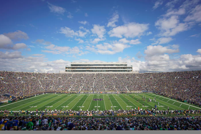 notre-dame-field.jpg